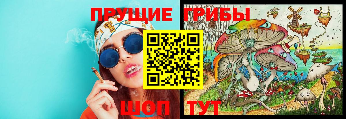 Шатура  Галлюциногенные грибы Psilocybe  Вход с VPN 